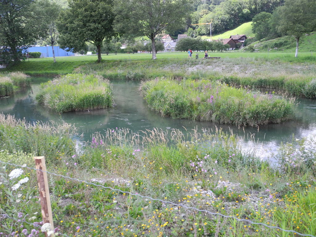 DSCN6992_JPG-1342966713