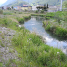 DSCN6993_JPG-1342966742