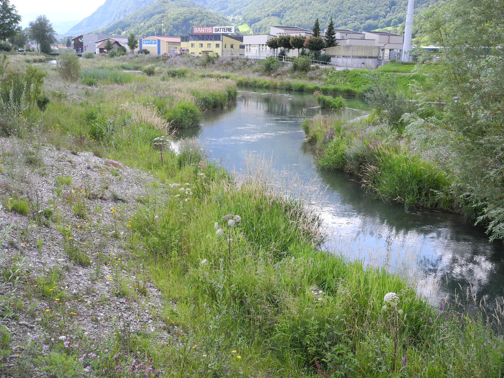 DSCN6993_JPG-1342966742