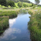 DSCN6994_JPG-1342966769