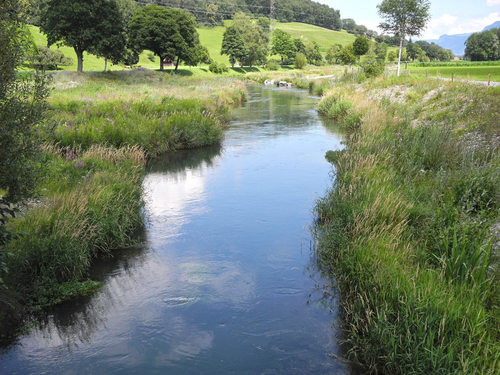 DSCN6994_JPG-1342966769