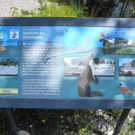 DSCN6995_JPG-1342966792