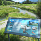 DSCN6997_JPG-1342966846