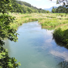 DSCN6998_JPG-1342966868