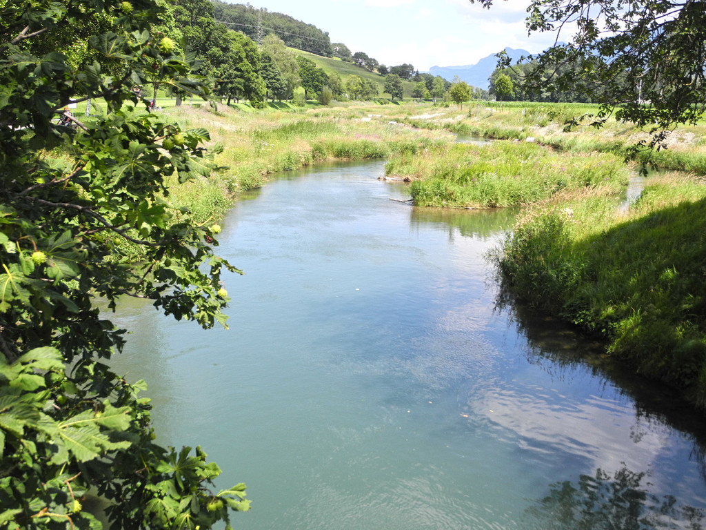 DSCN6998_JPG-1342966868