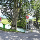 DSCN7003_JPG-1342966983