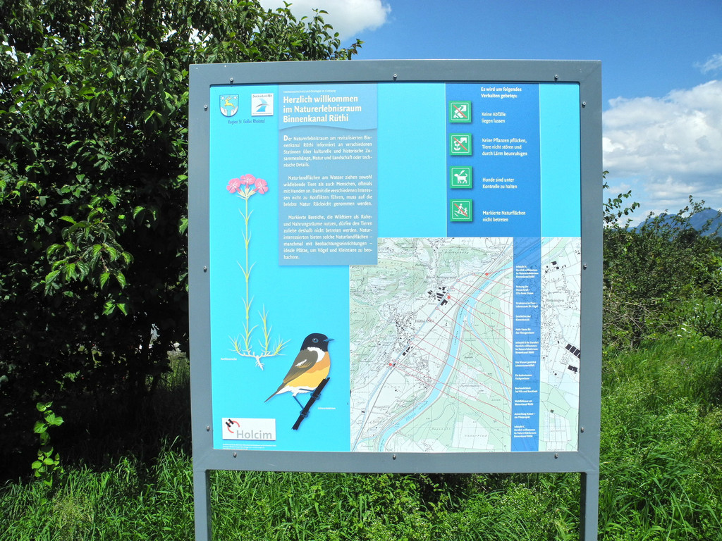 DSCN7005_JPG-1342967032