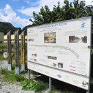 DSCN7006_JPG-1342967056