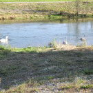 DSCN8961_JPG-1342967081