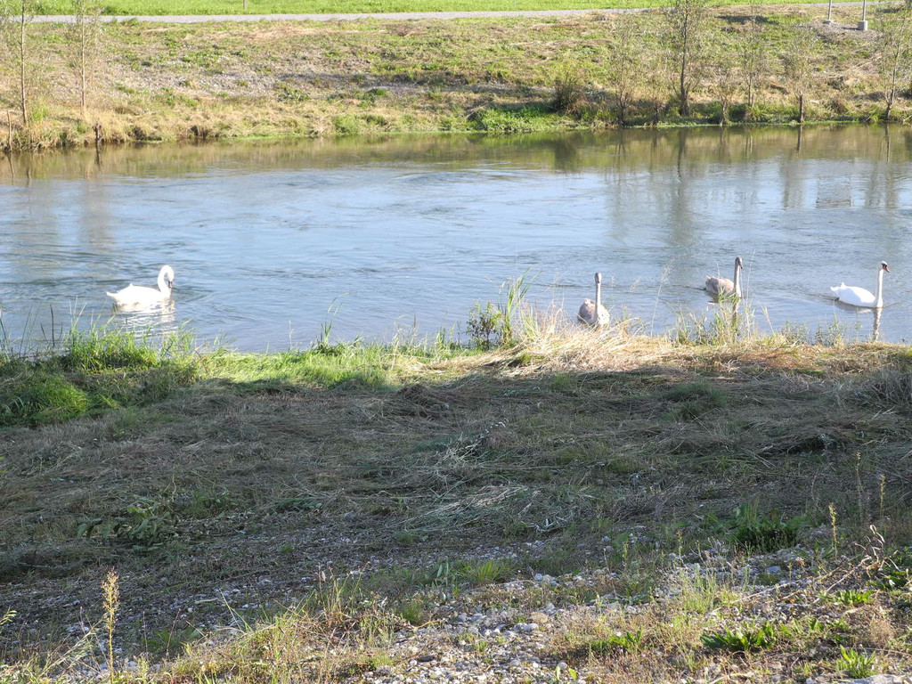 DSCN8961_JPG-1342967081