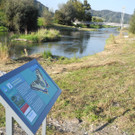 DSCN8978_JPG-1342967149