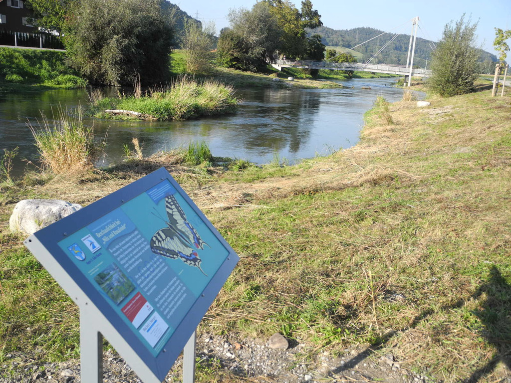 DSCN8978_JPG-1342967149