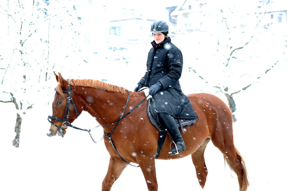 Schnee23.jpg