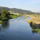 DSCN8981_JPG-1342967166