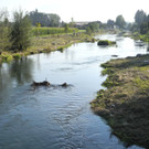 DSCN8982_JPG-1342967186