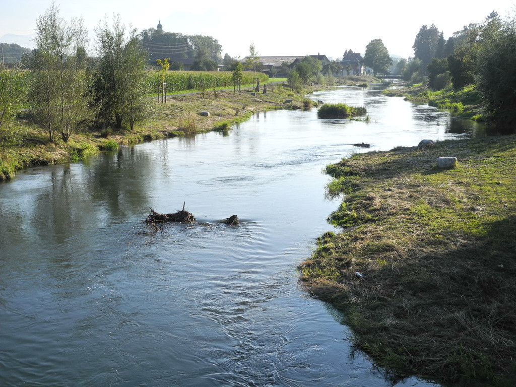 DSCN8982_JPG-1342967186