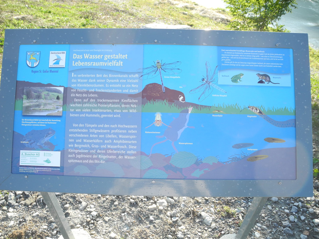 DSCN8989_JPG-1342967229