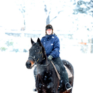 Schnee24.jpg