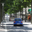 DSCN7016_JPG-1342967950