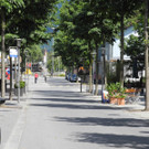 DSCN7017_JPG-1342967980