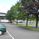 DSCN7032_JPG-1342968203