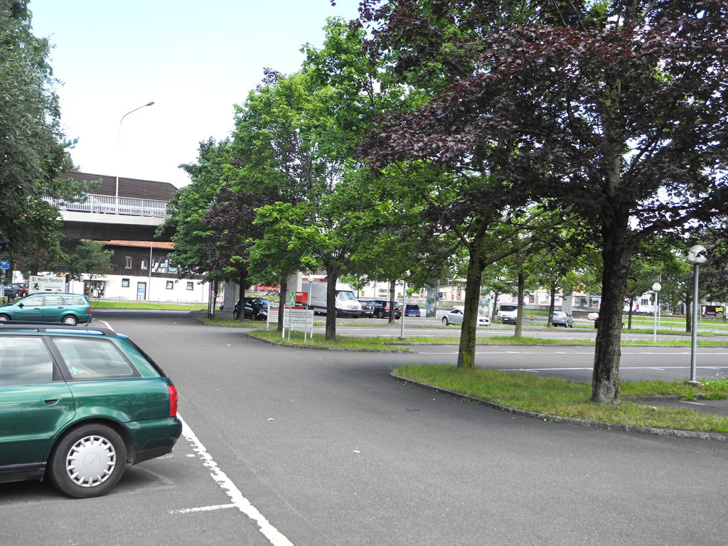 DSCN7032_JPG-1342968203