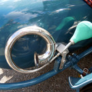 DSCN2443.JPG