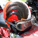DSCN2445.JPG