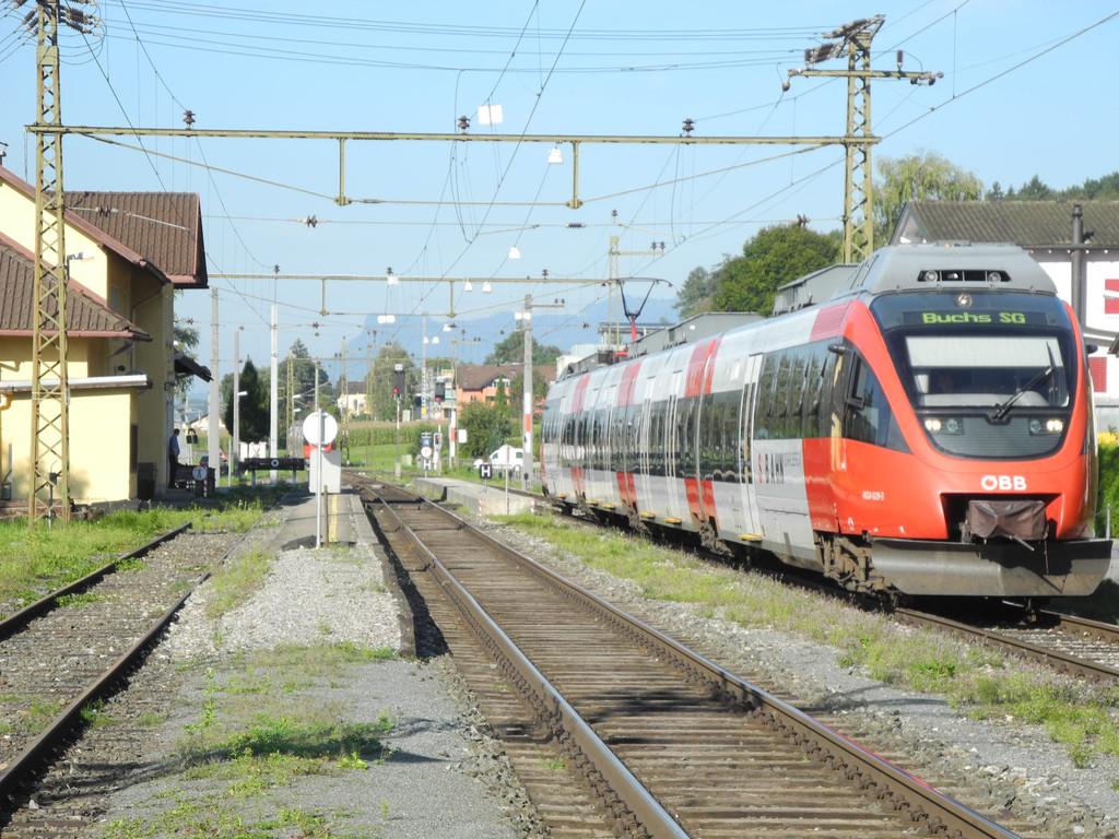 DSCN8954_JPG-1342968808