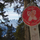Schneeschuhwanderungen mit BergAktiv Montafon