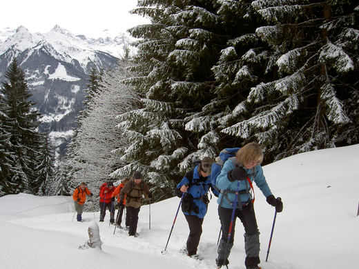 SSW-Bartholom__berg-24-01-09 082.JPG