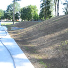 DSCN7042_JPG-1343036991