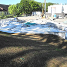 DSCN7049_JPG-1343037142