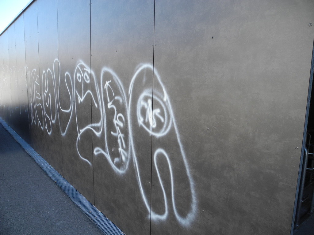 DSCN7056_JPG-1343037309