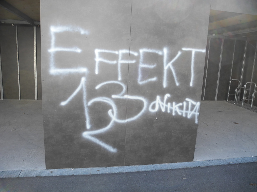 DSCN7060_JPG-1343037398