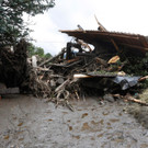 DDI0300-20120721.jpg