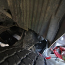 23072012vua1de01001aktivnews_02.jpg