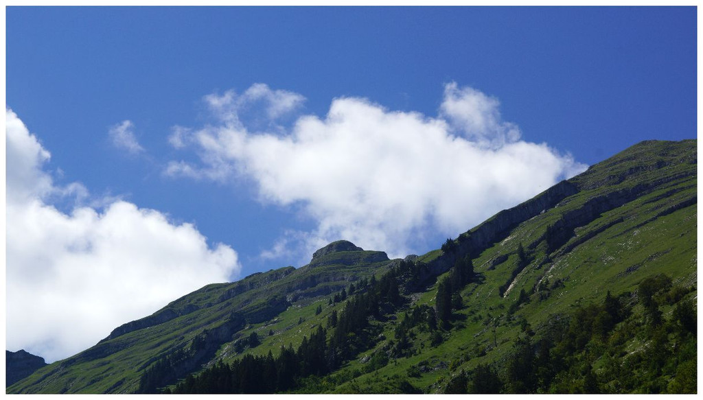 DSC0AA _62_.JPG