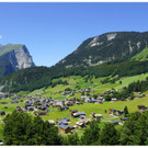 DSC0AA _28_.JPG