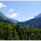 DSC0AA _33_.JPG