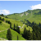 DSC0AA _34_.JPG