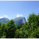 DSC0AA _38_.JPG