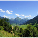 DSC0AA _47_.JPG
