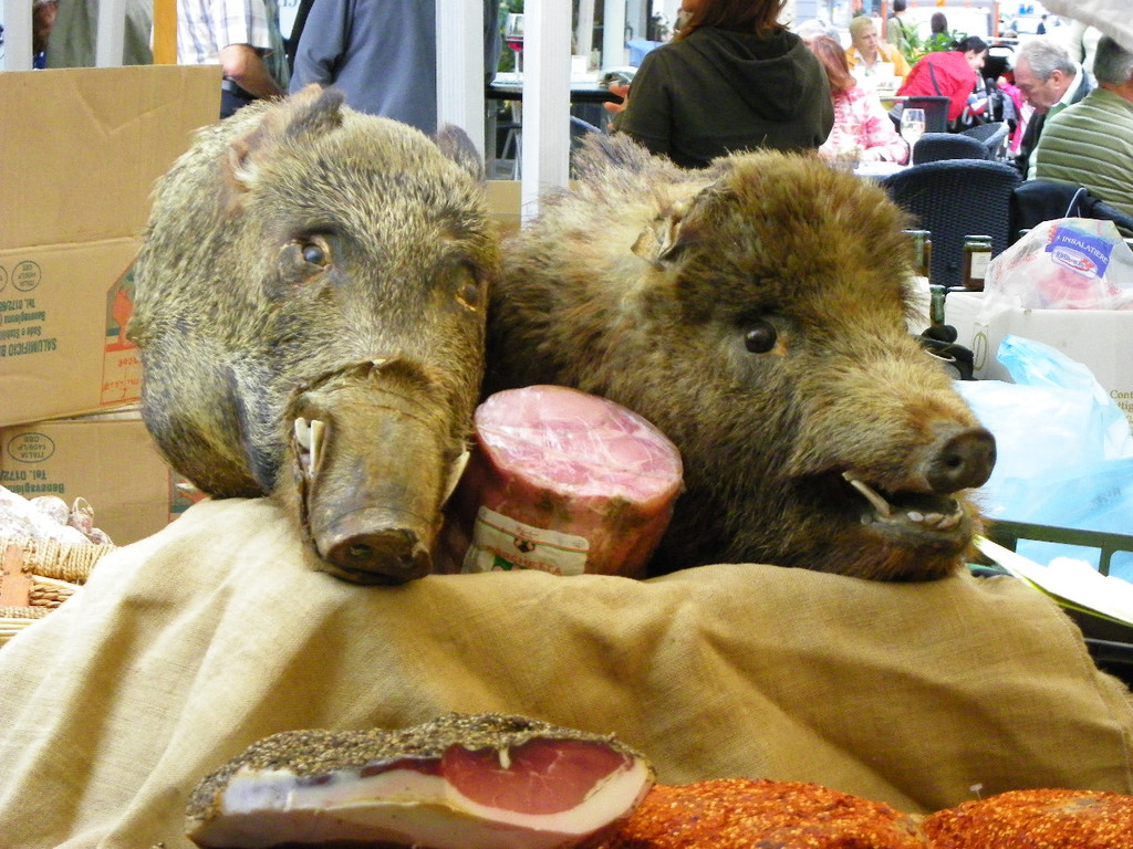 115_4058_JPG-1343082306