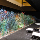 115_2440_JPG-1343085825