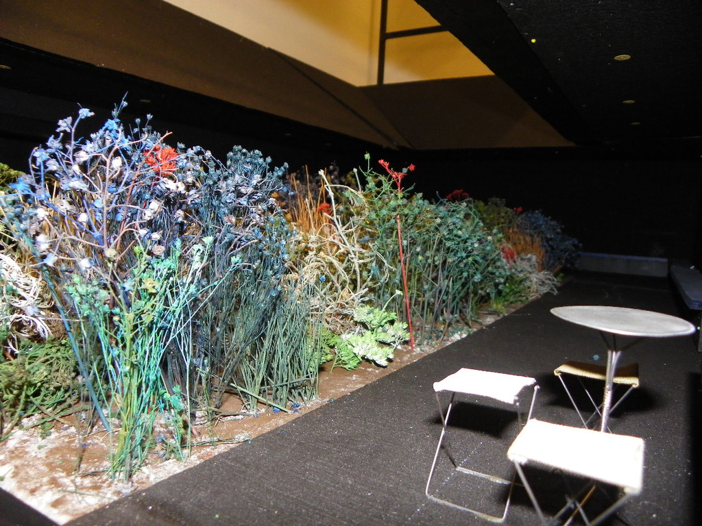 115_2440_JPG-1343085825