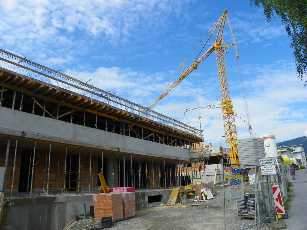 115_1493_JPG-1343087452