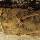IBD0649-20120717.jpg