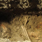 IBD0650-20120717.jpg