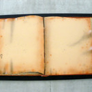 115_3065_JPG-1343147962